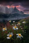 Max Rive came in second place in the 2021 International Photographer of the Year. 