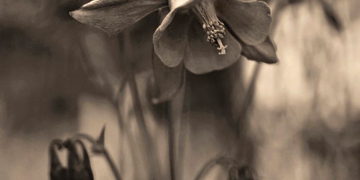 You Can Do It: Selective Focus