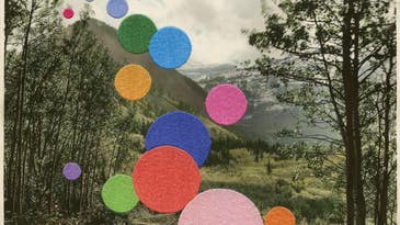 On the Wall: Julie Cockburn in New York